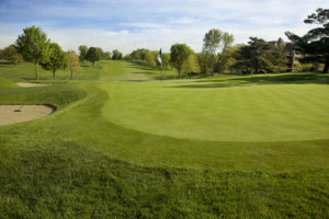 Photo of a golf course to show Garden & commercial lanscape - Oakland Tree Services
