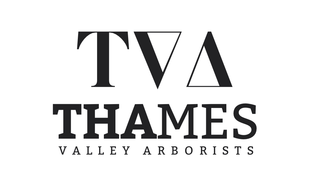 Thames Valley Arborist logo
